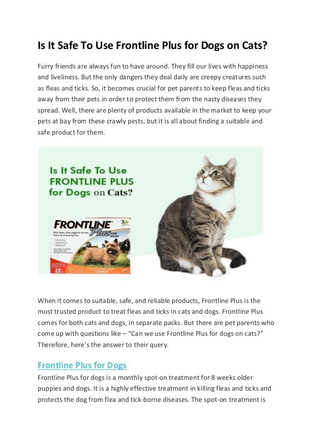 What Is The Difference Between Frontline For Cats And Dogs