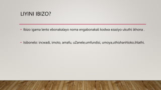 Isizulu izinhlobo zamabizo.pptx