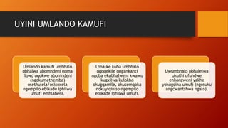 UYINI UMLANDO KAMUFI
Umlando kamufi umbhalo
obhalwa abomndeni noma
ilowo oqokwe abomndeni
(ngokumethemba)
osethulela/osixoxela
ngempilo ebikade iphilwa
umufi emhlabeni.
Lona-ke kuba umbhalo
oqoqekile ongankanti
ngoba ekubhalweni kwawo
kugxilwa kulokho
okugqamile, okusemqoka
nokuyiqiniso ngempilo
ebikade iphilwa umufi.
Uwumbhalo obhalelwa
ukuthi ufundwe
enkonzweni yakhe
yokugcina umufi (ngosuku
angcwantshwa ngalo).
 