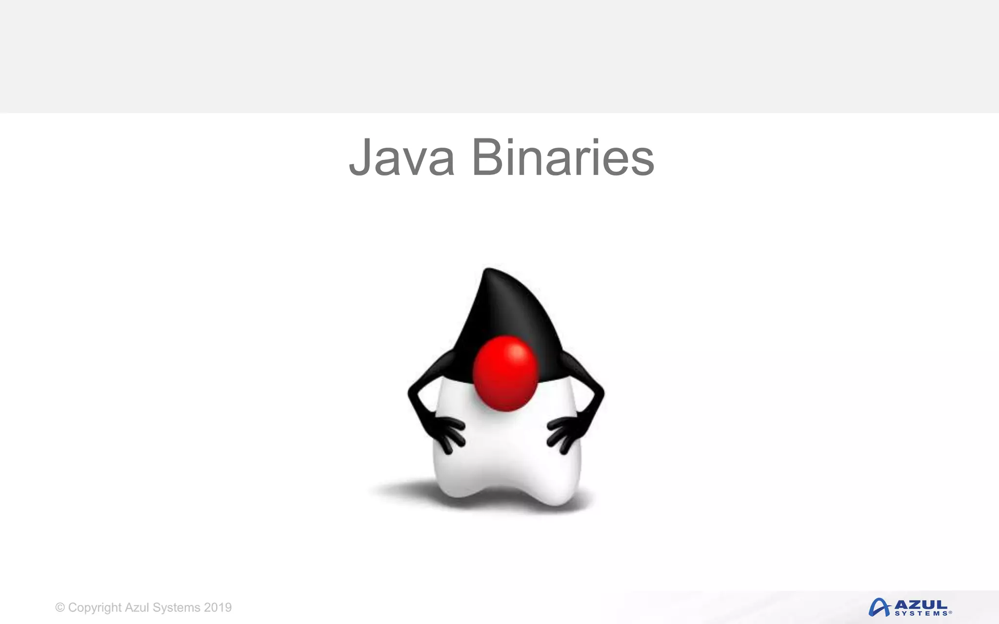 © Copyright Azul Systems 2019
Java Binaries
 