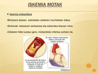 ISKEMIA MOTAK
 Iskemia miokardikoa

-Bihotzera doazen arterietako odolaren murrizketan datza.

-Sintomak: itotzearen sentsazioa eta ezkerreko besoan mina.

-Odolaren falta luzatuz gero, miokardioko infartua sortzen da.
 