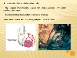  Hesteetako iskemia eta iskemia renala

-Kolpeengatik, arazo kirurgikoengatik, hemorragiengatik edo    infekzioen
eraginez sortzen da.

- Iskemia renala giltzurrunetan sortzen ditu arazoak.

- Hesteetan suertatzen bada, kirurgia egitea beharrezkoa da.
 