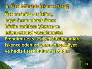 B. Özel Mânâda İşkence Yasağı
Özel mânâda da İslâm,
başta insan olmak üzere
bütün canlılara işkence ve
eziyet etmeyi yasaklamıştır.
Efendimiz’e (s.a.s) ve Müslümanlara
işkence edenleri yeren birçok âyet
ve hadis-i şerîf bulunmaktadır:
29
 