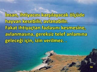 İnsan, ihtiyacını karşılayacak ölçüde
hayvan kesebilir, avlanabilir.
Fakat ihtiyaçtan fazlasını kesmesine,
avlanmasına, gereksiz telef anlamına
geleceği için, izin verilmez. .
56
 