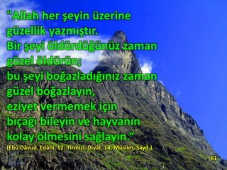 "Allah her şeyin üzerine
güzellik yazmıştır.
Bir şeyi öldürdüğünüz zaman
güzel öldürün;
bu şeyi boğazladığınız zaman
güzel boğazlayın,
eziyet vermemek için
bıçağı bileyin ve hayvanın
kolay ölmesini sağlayın.“
(Ebû Dâvud, Edâhî, 12; Tirmizî, Diyât, 14; Müslim, Sayd,).
61
 
