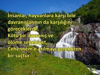 İnsanlar, hayvanlara karşı bile
davranışlarının da karşılığını
göreceklerdir.
Kötü bir davranış ve
ölüme sebebiyet,
Cehennem'e atılmayı gerektiren
bir suçtur:
62
 
