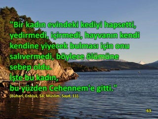 "Bir kadın evindeki kediyi hapsetti,
yedirmedi, içirmedi, hayvanın kendi
kendine yiyecek bulması için onu
salıvermedi, böylece ölümüne
sebep oldu.
İşte bu kadın,
bu yüzden Cehennem'e gitti."
(Buharî, Enbiyâ, 54; Müslim, Sayd, 11).
63
 