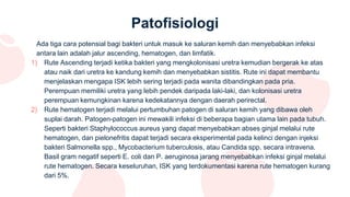 Patofisiologi
Ada tiga cara potensial bagi bakteri untuk masuk ke saluran kemih dan menyebabkan infeksi
antara lain adalah jalur ascending, hematogen, dan limfatik.
1) Rute Ascending terjadi ketika bakteri yang mengkolonisasi uretra kemudian bergerak ke atas
atau naik dari uretra ke kandung kemih dan menyebabkan sistitis. Rute ini dapat membantu
menjelaskan mengapa ISK lebih sering terjadi pada wanita dibandingkan pada pria.
Perempuan memiliki uretra yang lebih pendek daripada laki-laki, dan kolonisasi uretra
perempuan kemungkinan karena kedekatannya dengan daerah perirectal.
2) Rute hematogen terjadi melalui pertumbuhan patogen di saluran kemih yang dibawa oleh
suplai darah. Patogen-patogen ini mewakili infeksi di beberapa bagian utama lain pada tubuh.
Seperti bakteri Staphylococcus aureus yang dapat menyebabkan abses ginjal melalui rute
hematogen, dan pielonefritis dapat terjadi secara eksperimental pada kelinci dengan injeksi
bakteri Salmonella spp., Mycobacterium tuberculosis, atau Candida spp. secara intravena.
Basil gram negatif seperti E. coli dan P. aeruginosa jarang menyebabkan infeksi ginjal melalui
rute hematogen. Secara keseluruhan, ISK yang terdokumentasi karena rute hematogen kurang
dari 5%.
 