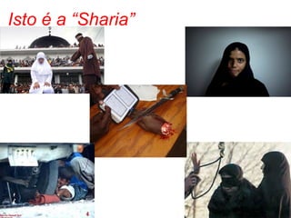 Isto é a “Sharia” 
 