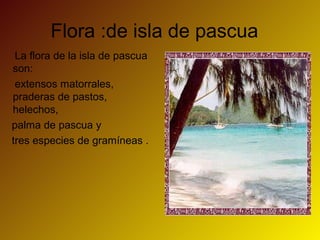 Flora :de isla de pascua
La flora de la isla de pascua
son:
extensos matorrales,
praderas de pastos,
helechos,
palma de pascua y
tres especies de gramíneas .
 