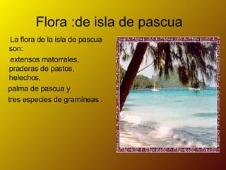 isla-de-pascua-fernanda-castro-2-ppt