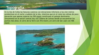 En la isla de Coiba las llanuras costeras con elevaciones inferiores a los cien metros
predominan en el norte y sudeste de la isla, mientras que en el resto las colinas de poca
elevación que apenas superan los 200 msnm constituyen el paisaje dominante.
Únicamente en el sector central hay una cadena de colinas donde se encuentran los
puntos más altos: el cerro de la Torre con 416 msnm y el cerro de San Juan con 406
msnm
 
