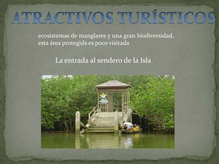 La entrada al sendero de la Isla
ecosistemas de manglares y una gran biodiversidad,
esta área protegida es poco visitada
 