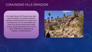COMUNIDAD VILLA ORINOJON
En el lago Titicaca (Titi: Puma y Caca: color
gris en Aymara), se encuentra la isla de
Amantani, donde pasamos una noche en un
Homestay local. Las 10 comunidades que
viven en la isla van rotando para acoger
turistas, 10 pernoctaciones al mes, en sus
casas. El 80% de los habitantes son
católicos. Se habla Quechua.
 