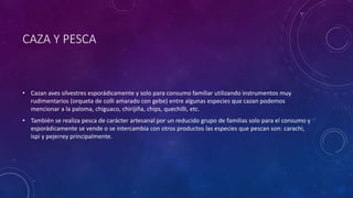 CAZA Y PESCA
• Cazan aves silvestres esporádicamente y solo para consumo familiar utilizando instrumentos muy
rudimentarios (orqueta de colli amarado con gebe) entre algunas especies que cazan podemos
mencionar a la paloma, chiguaco, chirijiña, chips, quechilli, etc.
• También se realiza pesca de carácter artesanal por un reducido grupo de familias solo para el consumo y
esporádicamente se vende o se intercambia con otros productos las especies que pescan son: carachi,
ispi y pejerrey principalmente.
 