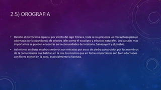 2.5) OROGRAFIA
• Debido al microclima espacial por efecto del lago Titicaca, toda la isla presenta un maravilloso paisaje
adornada por la abundancia de arboles tales como el eucalipto y arbustos naturales. Los paisajes mas
importantes se pueden encontrar en la comunidades de Incatiana, Sanacayuni y el pueblo.
• Así mismo, se divisa muchos senderos con entradas por arcos de piedra construidos por los miembros
de la comunidades que habitan en la isla, los mismos que en fechas importantes son bien adornados
con flores existen en la zona, especialmente la Kantuta.
 