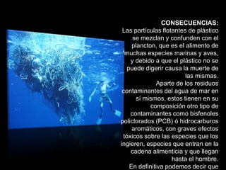 CONSECUENCIAS:
 Las partículas flotantes de plástico
     se mezclan y confunden con el
     plancton, que es el alimento de
  muchas especies marinas y aves,
    y debido a que el plástico no se
   puede digerir causa la muerte de
                         las mismas.
              Aparte de los residuos
 contaminantes del agua de mar en
       sí mismos, estos tienen en su
            composición otro tipo de
    contaminantes como bisfenoles
policlorados (PCB) ó hidrocarburos
     aromáticos, con graves efectos
 tóxicos sobre las especies que los
ingieren, especies que entran en la
    cadena alimenticia y que llegan
                    hasta el hombre.
    En definitiva podemos decir que
 