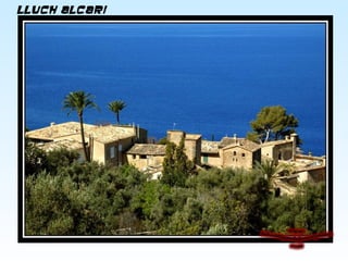 Lluch Alcari
 