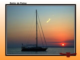 Bahía de Palma
 