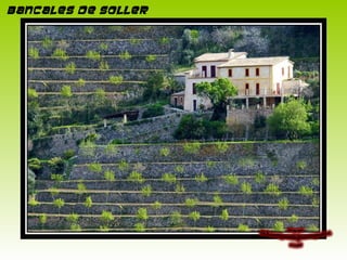 Bancales de Soller
 