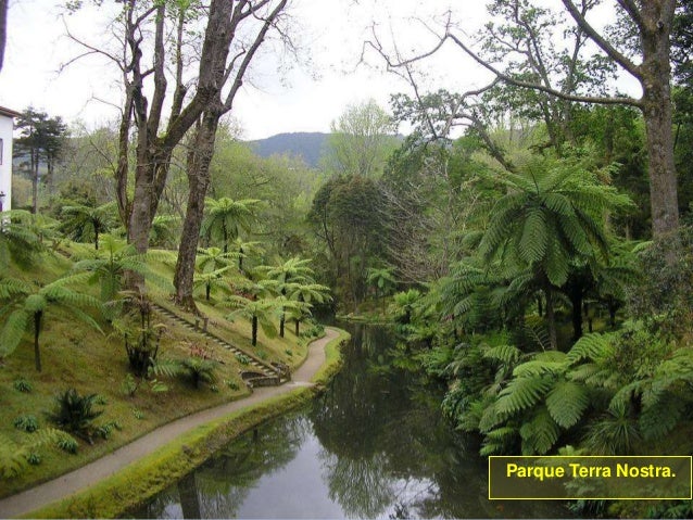 De viaje por el mundo - Página 2 Isla-de-san-miguel-azores-30-638