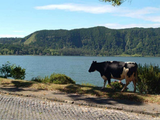 De viaje por el mundo - Página 2 Isla-de-san-miguel-azores-34-638