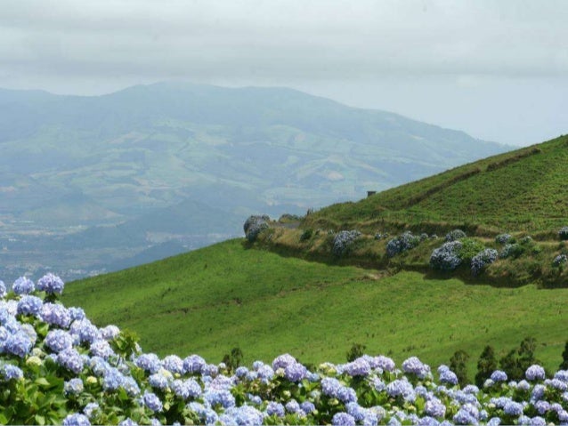 De viaje por el mundo - Página 2 Isla-de-san-miguel-azores-49-638