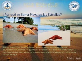 ¿Por qué se llama Playa de las Estrellas?
Se trata de una playa de arena blanca y aguas turquesas y cristalinas que está
abundantemente habitada por gigantescas estrellas de mar de un vivo color naranja. Las
estrellas están por todas partes. No obstante no se permite ni tocarlas ni evidentemente
sacarlas del agua.