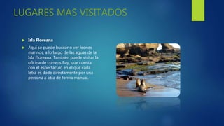 LUGARES MAS VISITADOS
 Isla Floreana
 Aquí se puede bucear o ver leones
marinos, a lo largo de las aguas de la
Isla Floreana. También puede visitar la
oficina de correos Bay, que cuenta
con el espectáculo en el que cada
letra es dada directamente por una
persona a otra de forma manual.
 