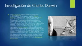 Investigación de Charles Darwin
 La Nave Beagle trajo a bordo la expedición
británica bajo el mando del capitán Robert
FitzRoy a Galápagos el 15 de septiembre de 1835,
para investigar lugares aislados difícilmente
visitados por navegantes. Esta lista de lugares
incluía Valparaíso, Callao, islas Galápagos, Tahití,
Nueva Zelanda, Australia, Cabo Buena Esperanza y
regresó a Falmouth el 2 de octubre de 1836. El
capitán y otros a bordo, incluyendo el joven
naturalista Charles Darwin, realizaron un estudio
científico de la geología y biología en cuatro de las
islas antes de continuar su expedición alrededor del
mundo. La nave se mantuvo a flote durante 5
semanas dentro de las islas, pero Darwin estuvo en
tierra solo dos semanas. Investigó a los animales y
plantas propios de la región; junto con todos los
estudios de su viaje, Darwin formuló el origen de
las especies
 