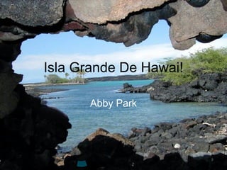 Isla Grande De Hawai! Abby Park 