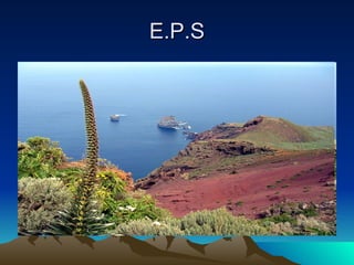 E.P.S 