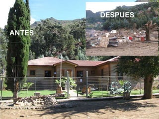 ANTES DESPUES 