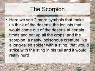 The Scorpion 
• Here we see 2 more symbols that make 
us think of the deserts; the locusts that 
would come out of the deserts at certain 
times and eat up all the crops; and the 
scorpion, a nasty, poisonous creature like 
a long-tailed spider with a sting, that would 
strike with the sting in his tail and it would 
really hurt! 
 