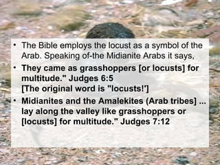 • The Bible employs the locust as a symbol of the 
Arab. Speaking of-the Midianite Arabs it says, 
• They came as grasshoppers [or locusts] for 
multitude." Judges 6:5 
[The original word is "locusts!'] 
• Midianites and the Amalekites (Arab tribes] ... 
lay along the valley like grasshoppers or 
[locusts] for multitude." Judges 7:12 
 