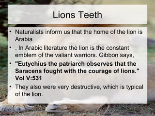 Lions Teeth 
• Naturalists inform us that the home of the lion is 
Arabia 
• . In Arabic literature the lion is the constant 
emblem of the valiant warriors. Gibbon says, 
• "Eutychius the patriarch observes that the 
Saracens fought with the courage of lions." 
Vol V:531 
• They also were very destructive, which is typical 
of the lion. 
 