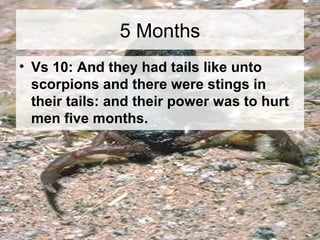 5 Months 
• Vs 10: And they had tails like unto 
scorpions and there were stings in 
their tails: and their power was to hurt 
men five months. 
 