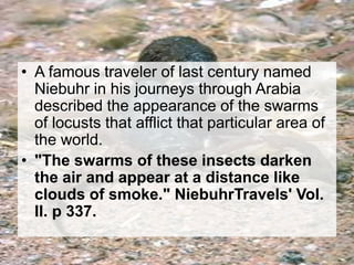 • A famous traveler of last century named 
Niebuhr in his journeys through Arabia 
described the appearance of the swarms 
of locusts that afflict that particular area of 
the world. 
• "The swarms of these insects darken 
the air and appear at a distance like 
clouds of smoke." NiebuhrTravels' Vol. 
II. p 337. 
 