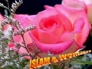 ISLAM & WOMAN 
