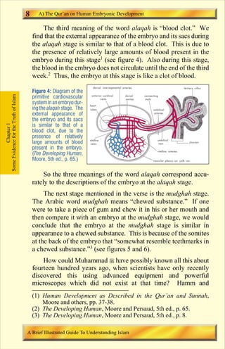 8      A) The Qur’an on Human Embryonic Development

                                               The third meaning of the word alaqah is “blood clot.” We
                                           find that the external appearance of the embryo and its sacs during
                                           the alaqah stage is similar to that of a blood clot. This is due to
                                           the presence of relatively large amounts of blood present in the
                                           embryo during this stage1 (see figure 4). Also during this stage,
                                           the blood in the embryo does not circulate until the end of the third
                                           week.2 Thus, the embryo at this stage is like a clot of blood.

                                           Figure 4: Diagram of the
Some Evidence for the Truth of Islam




                                           primitive cardiovascular
                                           system in an embryo dur-
                                           ing the alaqah stage. The
                                           external appearance of
                                           the embryo and its sacs
            Chapter 1




                                           is similar to that of a
                                           blood clot, due to the
                                           presence of relatively
                                           large amounts of blood
                                           present in the embryo.
                                           (The Developing Human,
                                           Moore, 5th ed., p. 65.)

                                                So the three meanings of the word alaqah correspond accu-
                                           rately to the descriptions of the embryo at the alaqah stage.
                                                The next stage mentioned in the verse is the mudghah stage.
                                           The Arabic word mudghah means “chewed substance.” If one
                                           were to take a piece of gum and chew it in his or her mouth and
                                           then compare it with an embryo at the mudghah stage, we would
                                           conclude that the embryo at the mudghah stage is similar in
                                           appearance to a chewed substance. This is because of the somites
                                           at the back of the embryo that “somewhat resemble teethmarks in
                                           a chewed substance.”3 (see figures 5 and 6).
                                               How could Muhammad r have possibly known all this about
                                           fourteen hundred years ago, when scientists have only recently
                                           discovered this using advanced equipment and powerful
                                           microscopes which did not exist at that time? Hamm and
                                           (1) Human Development as Described in the Qur’an and Sunnah,
                                               Moore and others, pp. 37-38.
                                           (2) The Developing Human, Moore and Persaud, 5th ed., p. 65.
                                           (3) The Developing Human, Moore and Persaud, 5th ed., p. 8.

                                       A Brief Illustrated Guide To Understanding Islam

                                                                          Contents
 