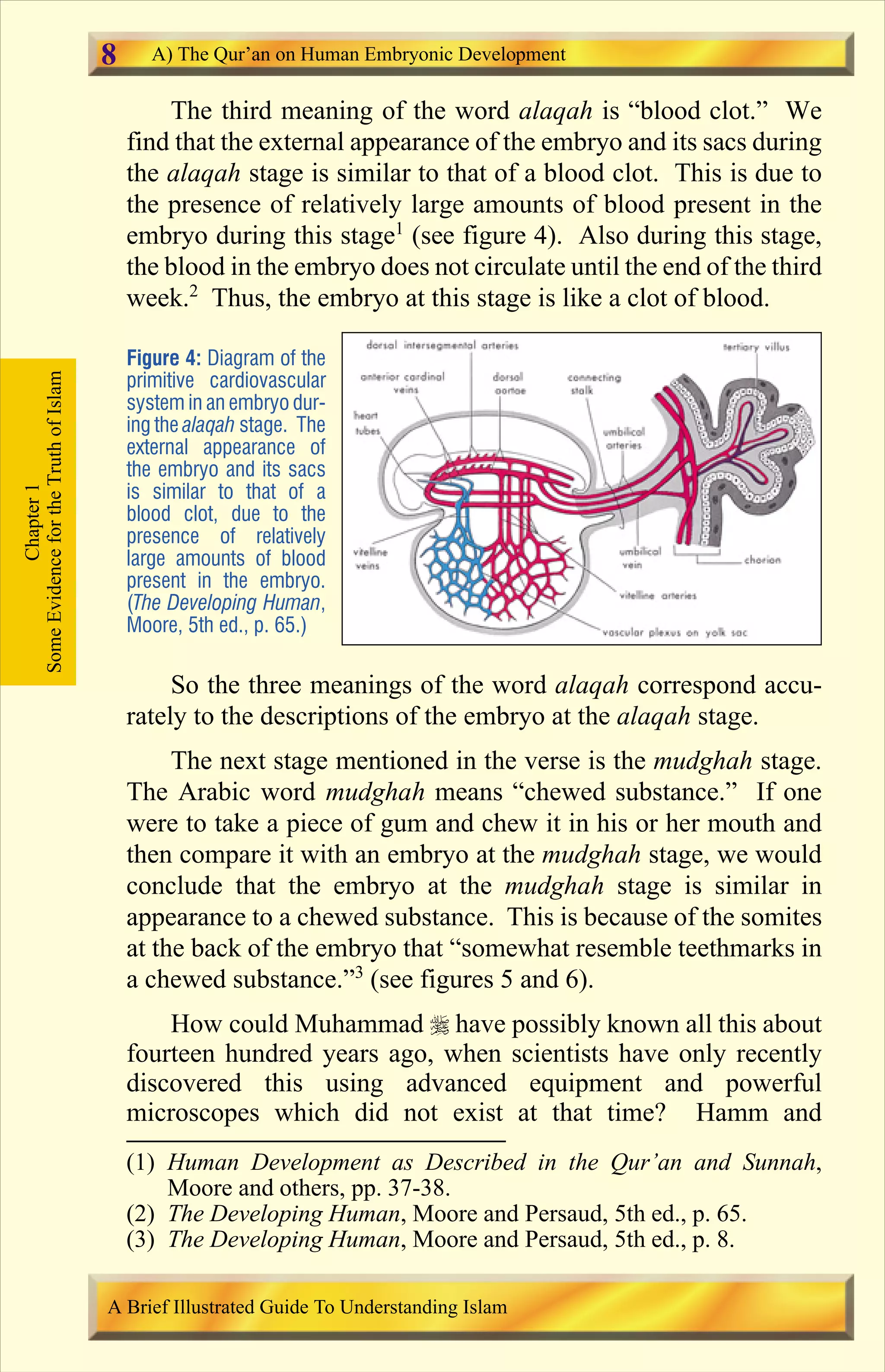 The third meaning of the word alaqah is “blood clot.” We
find that the external appearance of the embryo and its sacs during
the alaqah stage is similar to that of a blood clot. This is due to
the presence of relatively large amounts of blood present in the
embryo during this stage1
(see figure 4). Also during this stage,
the blood in the embryo does not circulate until the end of the third
week.2
Thus, the embryo at this stage is like a clot of blood.
So the three meanings of the word alaqah correspond accu-
rately to the descriptions of the embryo at the alaqah stage.
The next stage mentioned in the verse is the mudghah stage.
The Arabic word mudghah means “chewed substance.” If one
were to take a piece of gum and chew it in his or her mouth and
then compare it with an embryo at the mudghah stage, we would
conclude that the embryo at the mudghah stage is similar in
appearance to a chewed substance. This is because of the somites
at the back of the embryo that “somewhat resemble teethmarks in
a chewed substance.”3
(see figures 5 and 6).
How could Muhammad r have possibly known all this about
fourteen hundred years ago, when scientists have only recently
discovered this using advanced equipment and powerful
microscopes which did not exist at that time? Hamm and
Figure 4: Diagram of the
primitive cardiovascular
system in an embryo dur-
ing the alaqah stage. The
external appearance of
the embryo and its sacs
is similar to that of a
blood clot, due to the
presence of relatively
large amounts of blood
present in the embryo.
(The Developing Human,
Moore, 5th ed., p. 65.)
Chapter1
SomeEvidencefortheTruthofIslam A) The Qur’an on Human Embryonic Development
A Brief Illustrated Guide To Understanding Islam
8
(1) Human Development as Described in the Qur’an and Sunnah,
Moore and others, pp. 37-38.
(2) The Developing Human, Moore and Persaud, 5th ed., p. 65.
(3) The Developing Human, Moore and Persaud, 5th ed., p. 8.
Contents
 