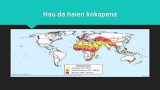 Hau da haien kokapena
 