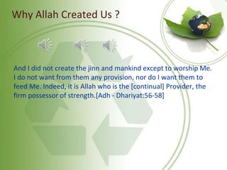 Why Allah Created Us ?
And I did not create the jinn and mankind except to worship Me.
I do not want from them any provision, nor do I want them to
feed Me. Indeed, it is Allah who is the [continual] Provider, the
firm possessor of strength.[Adh - Dhariyat:56-58]
 