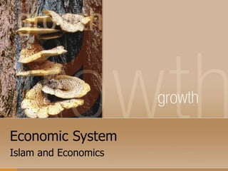 Economic System Islam and Economics 