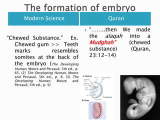 Suspended structure In the mum’s womb.           (The Developing Human, Moore and Persaud, 5th ed., p. 65. (2) The Developing Human, Moore and Persaud, 5th ed., p. 8. (3) The Developing Human, Moore and Persaud, 5th ed., p. 9“WE (GOD) made him (human being) as a drop in (of blood) a place of settlement, firmly fixed.  Then We made the drop into an Alaqah(suspended structure)” (Quran, 23:12-14)