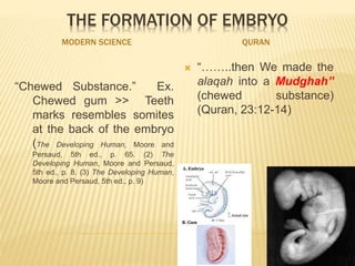 THE FORMATION OF EMBRYO
MODERN SCIENCE QURAN
“Chewed Substance.” Ex.
Chewed gum >> Teeth
marks resembles somites
at the back of the embryo
(The Developing Human, Moore and
Persaud, 5th ed., p. 65. (2) The
Developing Human, Moore and Persaud,
5th ed., p. 8. (3) The Developing Human,
Moore and Persaud, 5th ed., p. 9)
 “……..then We made the
alaqah into a Mudghah”
(chewed substance)
(Quran, 23:12-14)
 