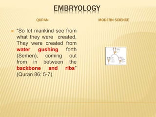 EMBRYOLOGY
QURAN MODERN SCIENCE
 “So let mankind see from
what they were created,
They were created from
water gushing forth
(Semen), coming out
from in between the
backbone and ribs”
(Quran 86: 5-7)
 