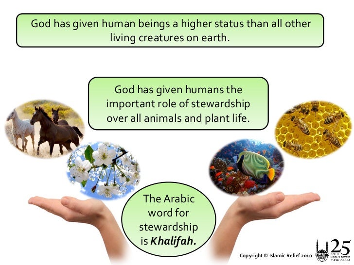 Islam and the environment