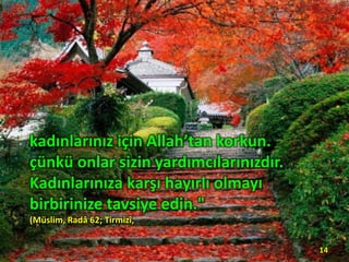 kadınlarınız için Allah’tan korkun.
çünkü onlar sizin yardımcılarınızdır.
Kadınlarınıza karşı hayırlı olmayı
birbirinize tavsiye edin."
(Müslim, Radâ 62; Tirmizî,
14
 