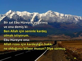 Bir zat Ebu Hüreyre’ye gelmiş
ve ona demiş ki:
Ben Allah için seninle kardeş
olmak istiyorum.
Ebu Hüreyre ona:
Allah rızası için kardeşliğin hakkı
ne olduğunu biliyor musun? Diye sormuş.
36

 